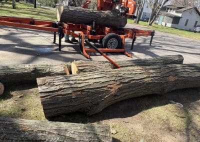 BEFORE logs on ground