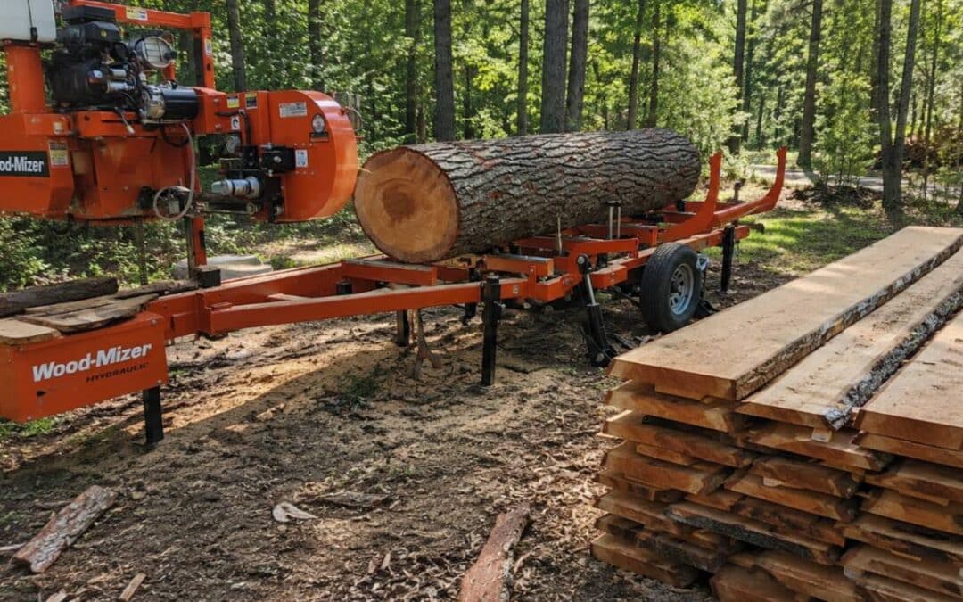 How Much Lumber Can One Tree Produce? A Practical Guide for Turning Logs Into Usable Lumber