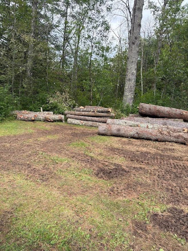Storm-fallen trees stacked and ready to be milled into lumber in Michigan’s Upper Peninsula